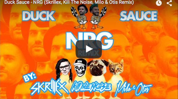 Duck Sauce - NRG (Skrillex, Kill The Noise, Milo & Otis Remix)