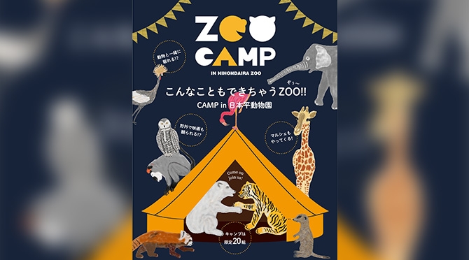 ZOO CAMP