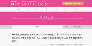 TOKYO AKIBA MUSIC SC